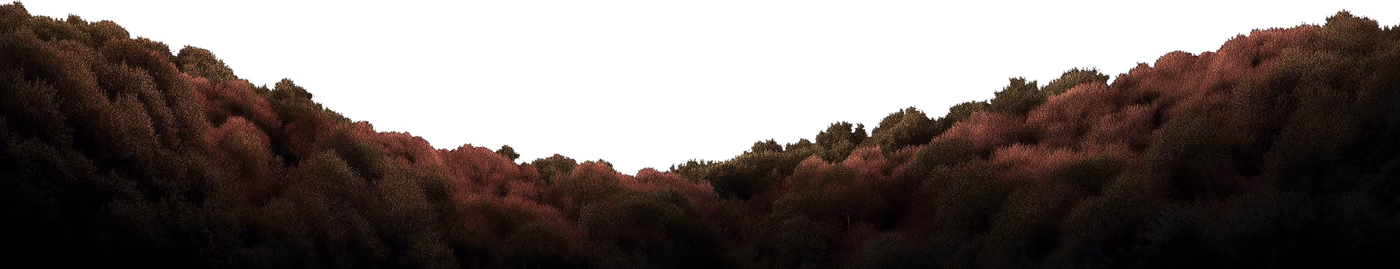 Features Foreground Image